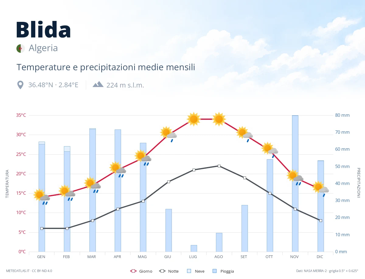 Blida - temperature e precipitazioni medie mensili