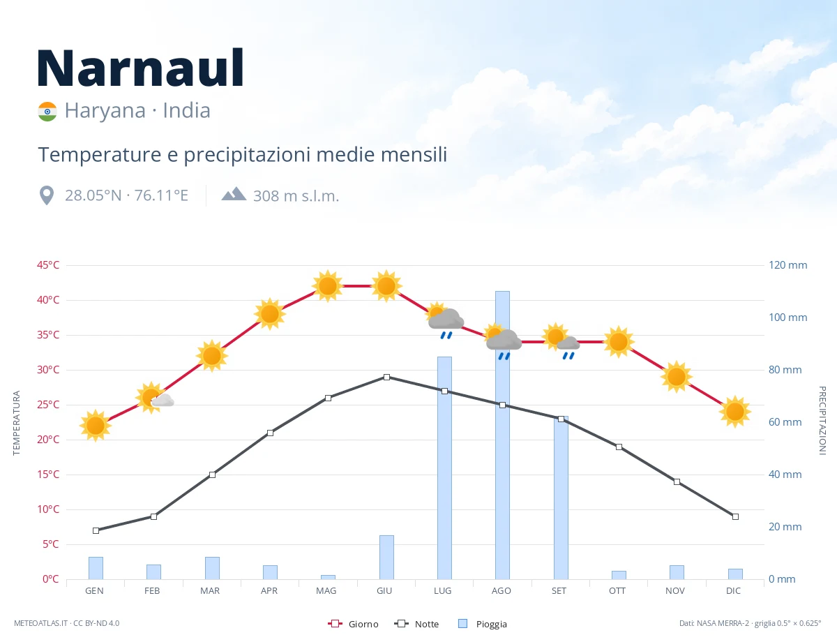 Narnaul - temperature e precipitazioni medie mensili