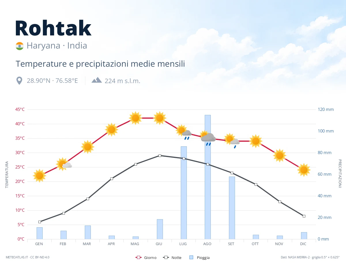 Rohtak - temperature e precipitazioni medie mensili