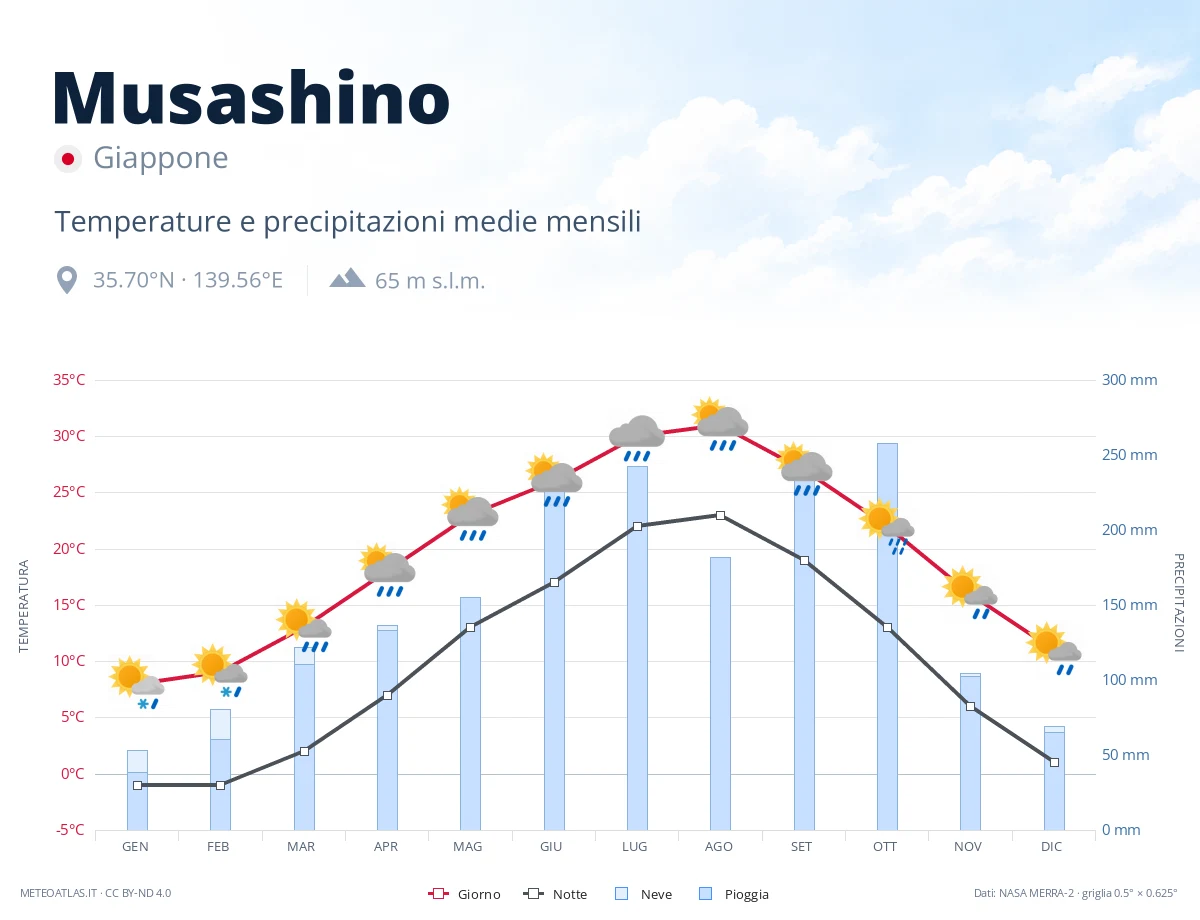 Musashino - temperature e precipitazioni medie mensili