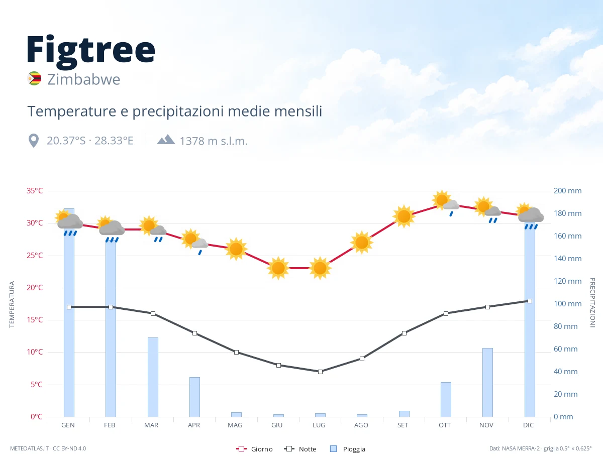 Figtree - temperature e precipitazioni medie mensili
